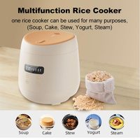 Appareils électroménagers de cuisine en gros 110V 2L Cuiseur à riz intelligent portable Multicuiseur électrique Multifonction Petit pot de cuisson