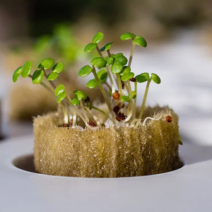 Высококачественная сельскохозяйственная система роста из каменной ваты, кубические пробки для рассады, клон каменной шерсти, 20x27 мм - Product Image 4