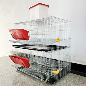Cages à Cailles Commerciales à Prix Abordable pour l'Élevage de Cailles avec Système d'Abreuvement Automatique - Product Image 1