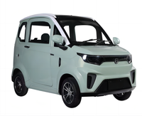 Quadricycle Électrique Fermé Couleur Morandi pour Adultes – Véhicule de Mobilité Électrique (EV) à Énergie Nouvelle