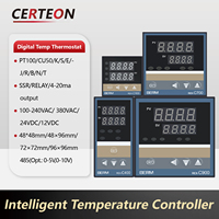 REX‑C100 400 700 Régulateur de Température Numérique Haute Précision PID Sortie SSR Contrôle Stable Régulateur