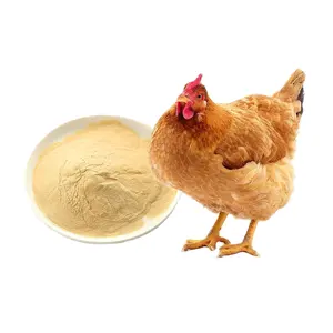 Lactic Acid Bacteria Probiotics Microbial Fermentation Feed For Chicken And Duck