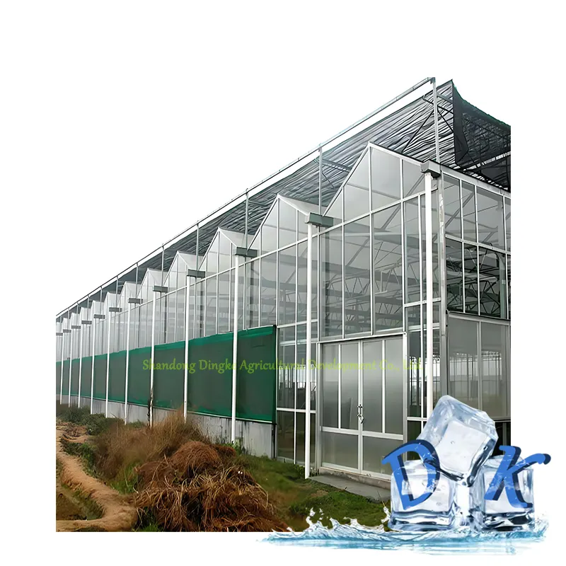 温室ソリューション農業温室マルチスパンPCシートポリカーボネート工場価格