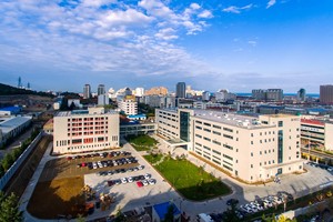 Line Scan Cameramodule Bankbiljettenherkenning Contact Beeldsensor Compacte Cis Scanner Unit Oppervlakte Defecte Inspectie - Product Image 6