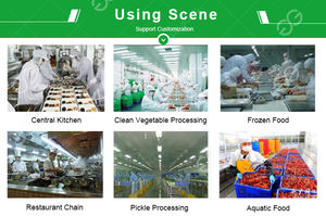 Macchina Commerciale Gelgoog 200kg/h per la Produzione <span class=keywords><strong>di</strong></span> Salsa <span class=keywords><strong>di</strong></span> Aglio e Peperoncino, Impianto per la Produzione <span class=keywords><strong>di</strong></span> Salsa <span class=keywords><strong>di</strong></span> Zenzero, Linea <span class=keywords><strong>di</strong></span> Produzione per la Pasta <span class=keywords><strong>di</strong></span> Peperoncino Rosso - Product Image 5