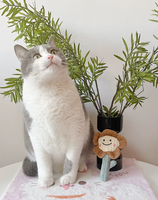 Mainan Kucing untuk Hiburan Mandiri dan Menghilangkan Stres: Catnip Tahan Lama, Ramah Anak Kucing, Mainan Kucing Berbahan Plush, Perlengkapan Hewan Peliharaan