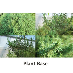 卸売スパイス ストリップ ローズマリー 中国産プレミアム天然乾燥ハーブ ローズマリーの葉 乾燥ローズマリー - Product Image 3