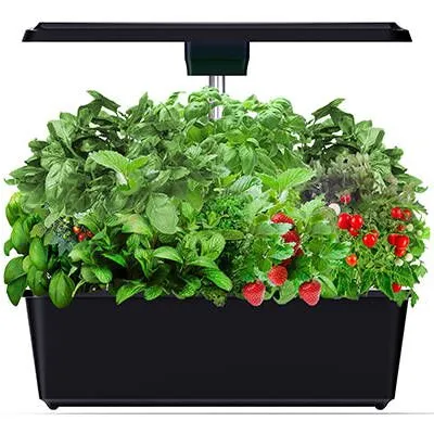 Factory 12 Pods Indoor Hydroponic Growing System OEM Smart Mini Kitchen Garden For Herbs Vegs Flowers