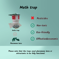 Piège à phéromones réutilisable en plastique pour le contrôle des mites et des chenilles, attrape-insectes suspendu pour ferme, jardin et pelouse