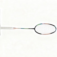 Raquette de badminton intégrée en aluminium et verre, résistante aux intempéries, avec un manche rigide, haute rigidité, frappe stable, raquette légère