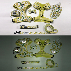 Wholesale Adjustable Nylon Pet <strong>Dog</strong> Harness Vest and Leash <strong>Cat</strong> Leash and Harness - Product Image 4