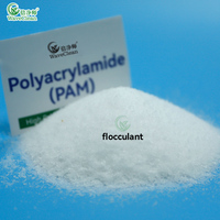 Fabricant OEM de polyacrylamide (PAM) WaveClean pour le traitement des eaux usées et de l'eau