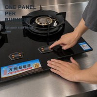 Kompor Dapur WANHENG Dua Tungku Kontrol Tombol, Kaca Temper, Permukaan Stainless Steel, Bahan Bakar Minyak Hemat Energi