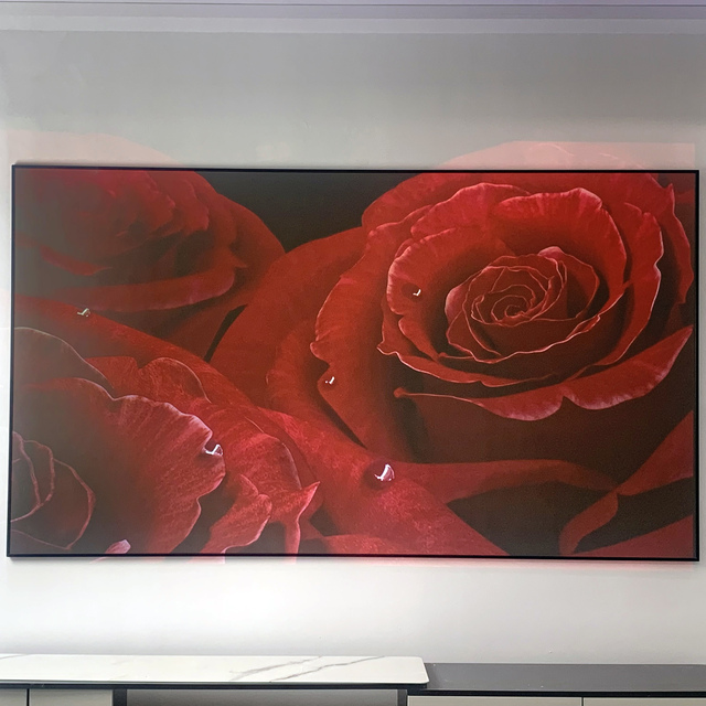 150 Inch Fixed Frame Projector Screen ALR Fixed Frame Screen for Projector Home Cinema