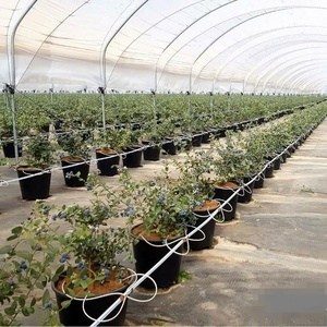 Vente en gros Grand <span class=keywords><strong>arbre</strong></span> de jardin rond en plastique 15 gallons Pot de pépinière aux bleuets Pot de plantation en plastique Pot de pépinière en plastique - Product Image 6