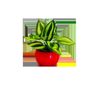 Plante verte artificielle en pot, mini ornement, pot de fleurs hydroponique, décoration de bureau, décoration festive, décoration de Noël - Product Image 5
