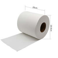 Papier hygiénique souple personnalisé 2ply feuille de plastique individuelle enveloppé de gros rouleaux de couleur palette Jumbo Toliet papier
