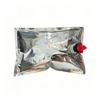 Sachets autoportants en PE de qualité alimentaire sans BPA, thermosoudés avec valve, pour boissons gazeuses et autres boissons