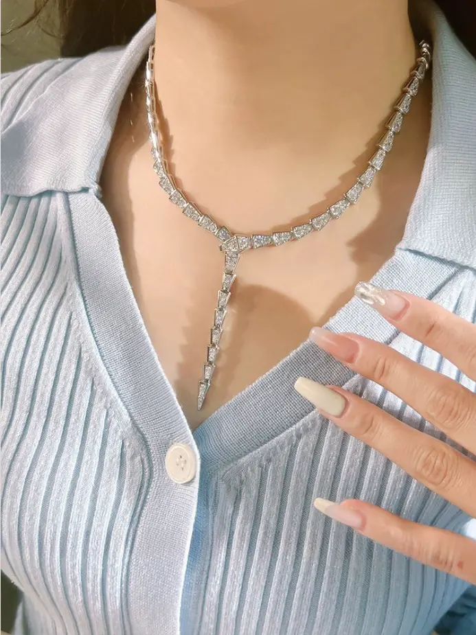 New luxury Instagram style pure silver inlaid with high carbon diamond niche design collarbone chain female snake bone necklace