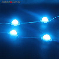 Luz LED de Píxeles Redonda Navideña Permanente de 30 mm RGB RGBW UCS1903 UCS2904, Fuente de Luz Puntual LED de Píxeles para Exteriores Resistente al Agua