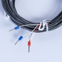 Sensor Termopar RTD de Pt Encapsulado en Acero Inoxidable Personalizado OEM, Sonda con Cubierta Metálica de Grado Industrial para Altas y Bajas Temperaturas