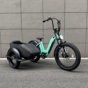 Tricycle Électrique Adulte avec Side-car, Vélo Électrique à 3 Roues 750W, Batterie Lithium Cachée, E-trike Sidecar CITY 6 Vitesses Ouka pour Livraison Familiale - Product Image 3