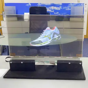 30 Inch Transparent Oled Display Support HDM 1/Android Digital Advertising Machine LW300PXI 1366x768 Transparent Oled Screen