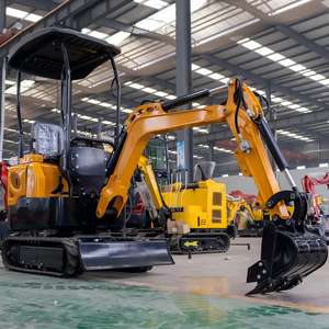 حفارات زراعية 1 طن ، أسنان دلو 15 "، ملحقات الكسارة الصغيرة ، محرك الكوبوتا Epa - Product Image 1