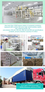 Venta al por Mayor de Fábrica de Toallas Sanitarias 100% Algodón Orgánico Natural Disponibles para Personalización OEM - Product Image 6