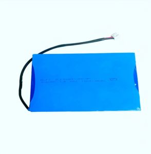 리튬 이온 배터리 팩 12v 24v 36v 48v 52v 60v 72 10ah 20ah 30ah 50ah 60ah 100ah 21700 솔라 팩 - Product Image 5