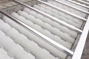 High Pressure 304 Stainless Steel Engine-Powered <b>Fruit</b> & <b>Vegetable</b> Washing <b>Machine</b> with Easy Operation - Product Image 4