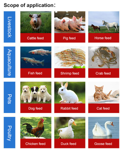 Mới bằng thép không gỉ nổi Thức ăn viên Máy Xăng-powered với công suất đầu ra 60-80 kg/giờ cho chế biến thức ăn - Product Image 3