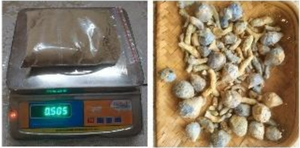 Vente chaude 2025 Poudre de curcuma noir déshydratée avec une quantité en vrac de poudre de curcuma noir déshydratée naturellement pure - Product Image 5