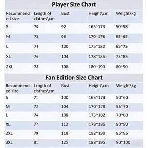 Футболки для мужчин национальной сборной по футболу 26-27 - дышащие, из полиэстера, с коротким рукавом, на заказ - Product Image 6