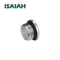 Raccords pneumatiques mâles en acier inoxydable 304 ISAIAH OEM, connecteur ISO CE