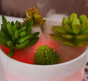 Diffuseur d'huile ultrasonique industriel, humidificateur, pour Design de plantes <span class=keywords><strong>en</strong></span> <span class=keywords><strong>pot</strong></span>, naturelles - Product Image 4