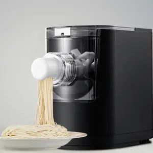 Small Home Grain Product Making Machines Automatic Fresh Pasta Noodle Making Machine