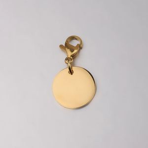 Porte-clés rond en acier inoxydable de 8-30 mm, personnalisable, gravure laser DIY, avec fermoir mousqueton, pour animaux de compagnie, vente en gros - Product Image 4