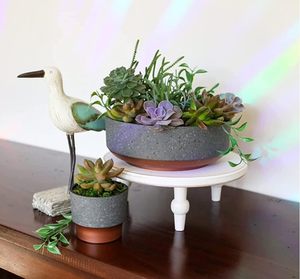 Grand <span class=keywords><strong>pot</strong></span> à succulentes moderne de 8 pouces, <span class=keywords><strong>pot</strong></span> de fleurs <span class=keywords><strong>en</strong></span> plastique pour bureau d'intérieur avec drainage, base <span class=keywords><strong>en</strong></span> faux béton de couleur cuivre - Product Image 5
