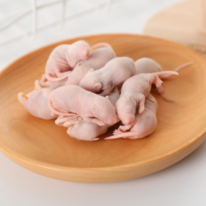 Ratones Congelados para Mascotas Serpientes Lagartos Ranas Tortugas Cocodrilos Halcones Gatos y Alimentos para Reptiles - Product Image 3