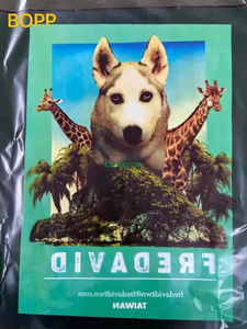 高速无纺布卷对卷柔版印刷凸版印刷机价格 - Product Image 3