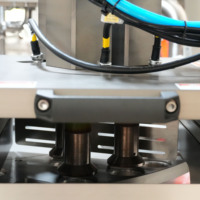 Machine automatique de remplissage et de scellage de chocolat et de boissons PLC pour une production efficace