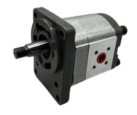 Pompe à engrenages hydraulique haute performance AP200/15 S 200.1025.223.01 AP200/22 S 200.1027.223.01 Pompe à engrenages en aluminium