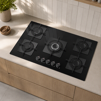 Table de Cuisson à Gaz 5 Feux Personnalisée Chine, Technologie Avancée, en Verre Céramique, Autonome, Économe en Énergie, pour Extérieur