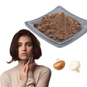 Hoge Kwaliteit Uitgebalanceerd Ruw Poeder <span class=keywords><strong>Chaga</strong></span> Paddestoel Stabiele <span class=keywords><strong>Chaga</strong></span> Paddestoel <span class=keywords><strong>Extract</strong></span> Voor De Gezondheid Van Het Lichaam - Product Image 1