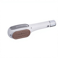1200W double tension Portable fer à repasser électrique à main Portable vêtement vapeur maison voyage repassage