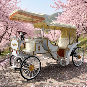 Chariot de luxe électrique blanc style Victoria à 4 roues pour la visite touristique - Prix de gros - Product Image 1