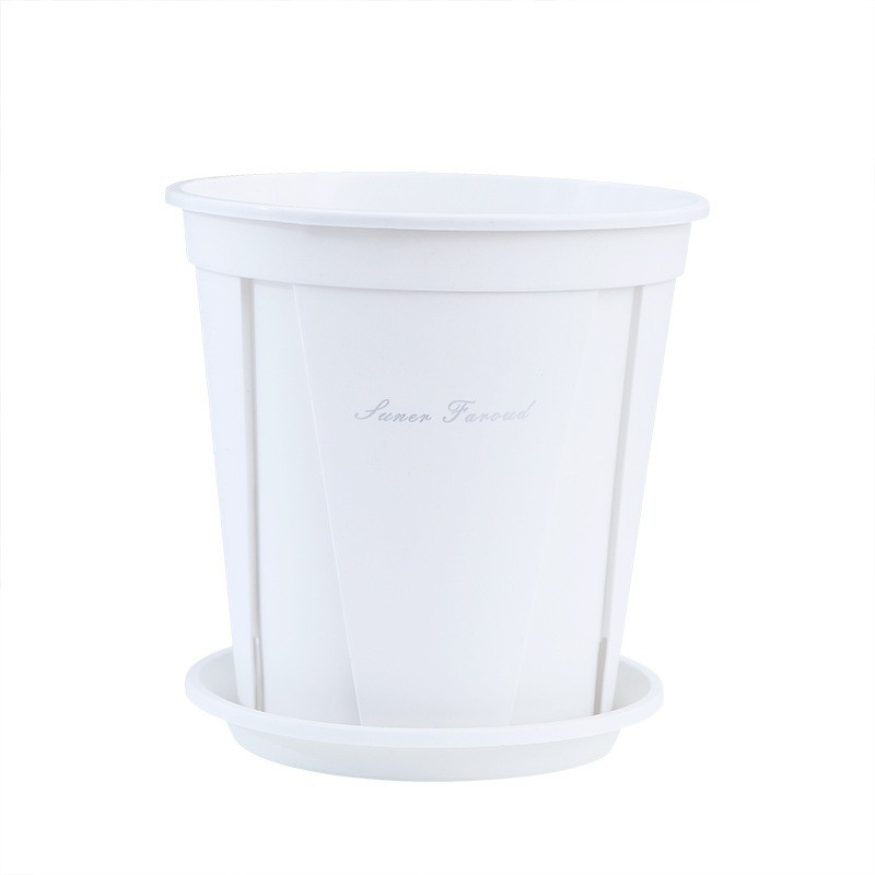 Blanc (juste le bassin)