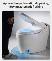 Articles sanitaires modernes Bidet à chasse automatique Toilette intelligente Toilette électrique entièrement automatique Toilette intelligente à température constante
