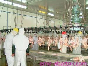 Nouveau Type bon marché prix abattoir carcasse découpeuse machines de traitement de la viande équipement de boucher pour équipement de volaille - Product Image 3